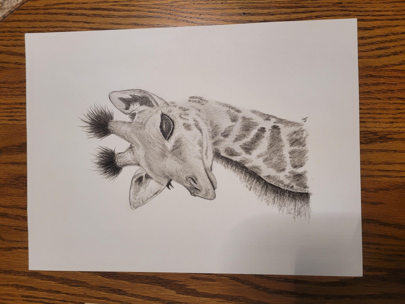 Charcoal giraffe - image 1 - student project
