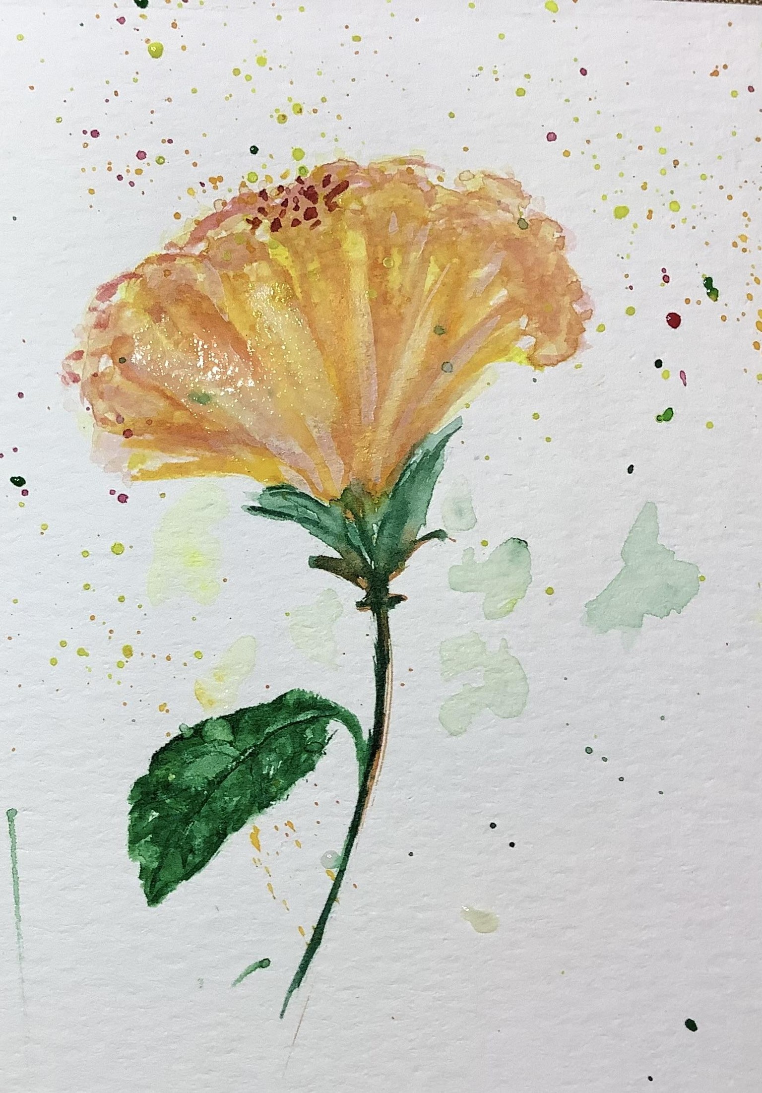 Hibiscus attempt - image 1 - student project