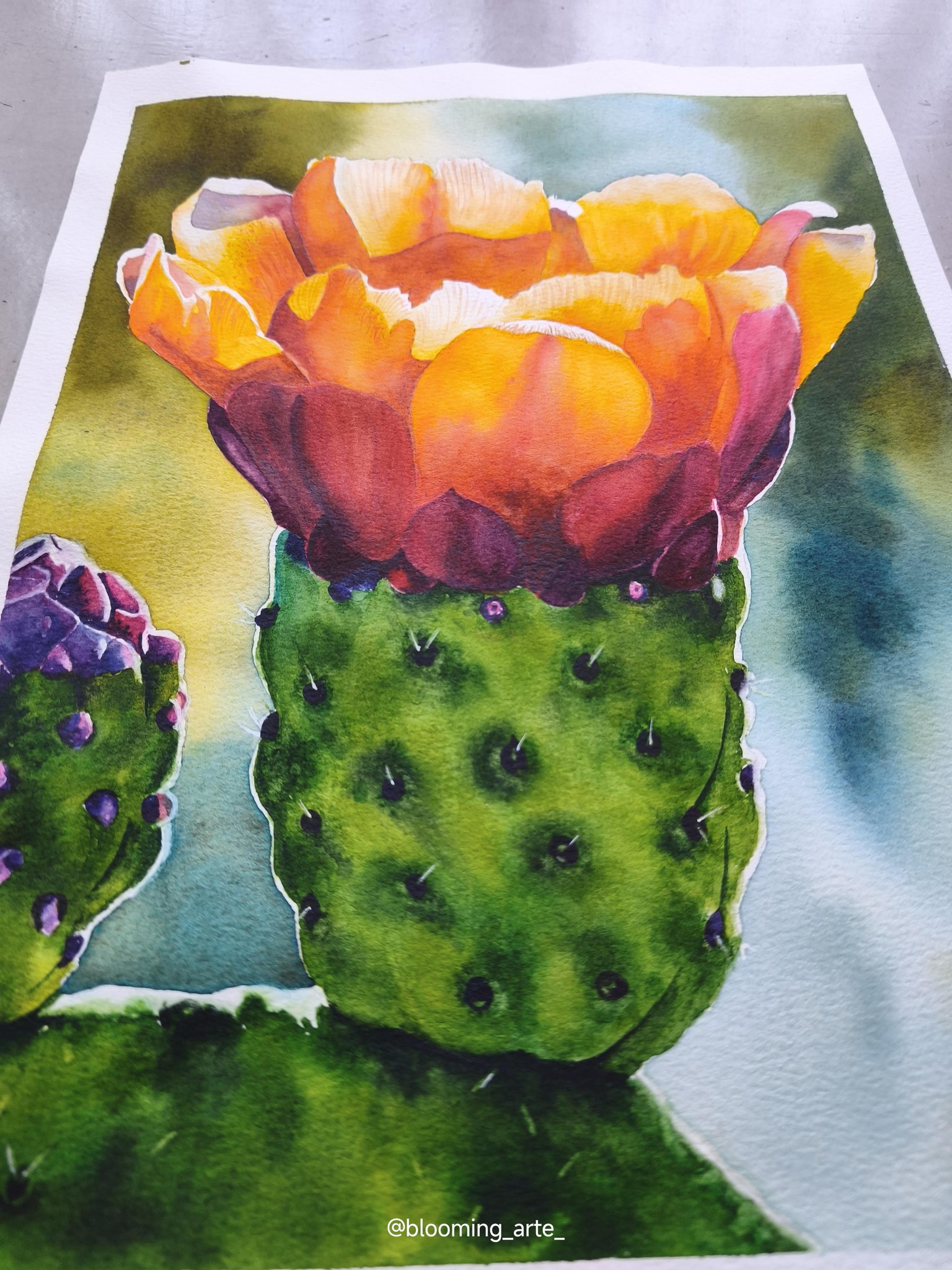 Watercolor Opuntia - image 3 - student project