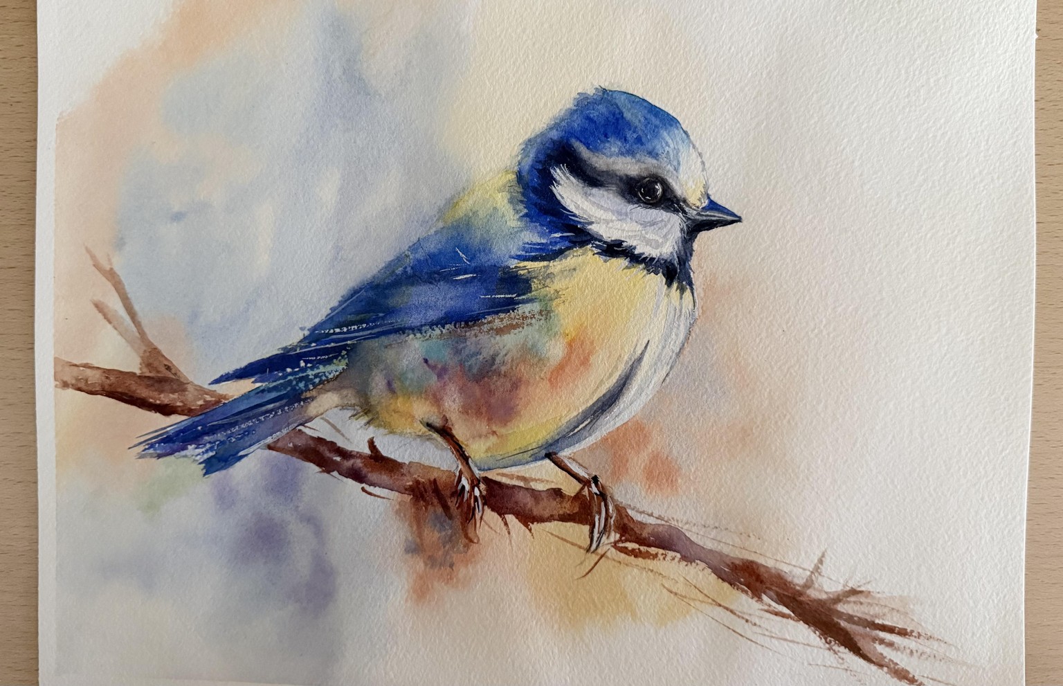 Blue tit bird - image 1 - student project