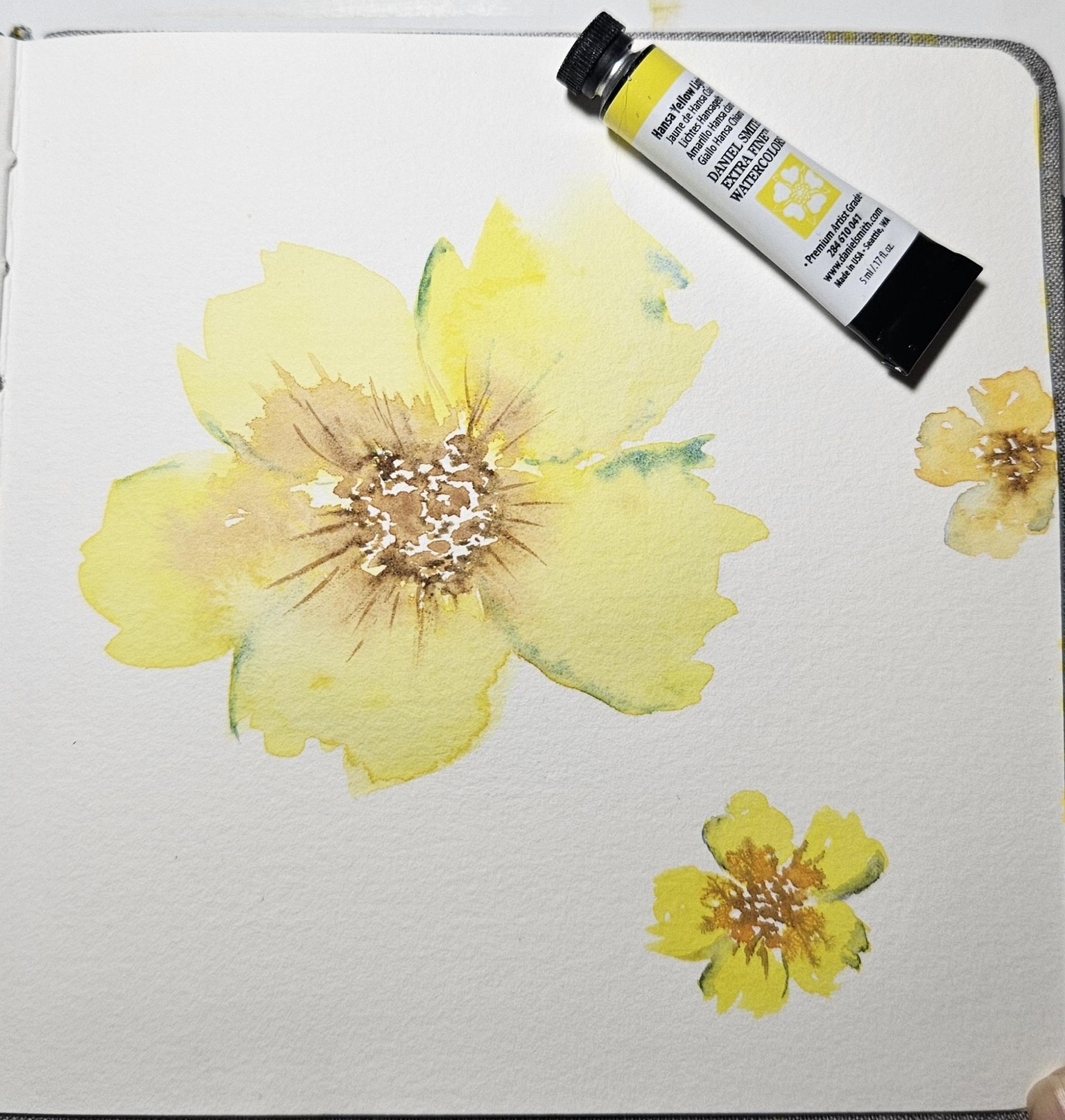 Yellow flower - image 2 - student project
