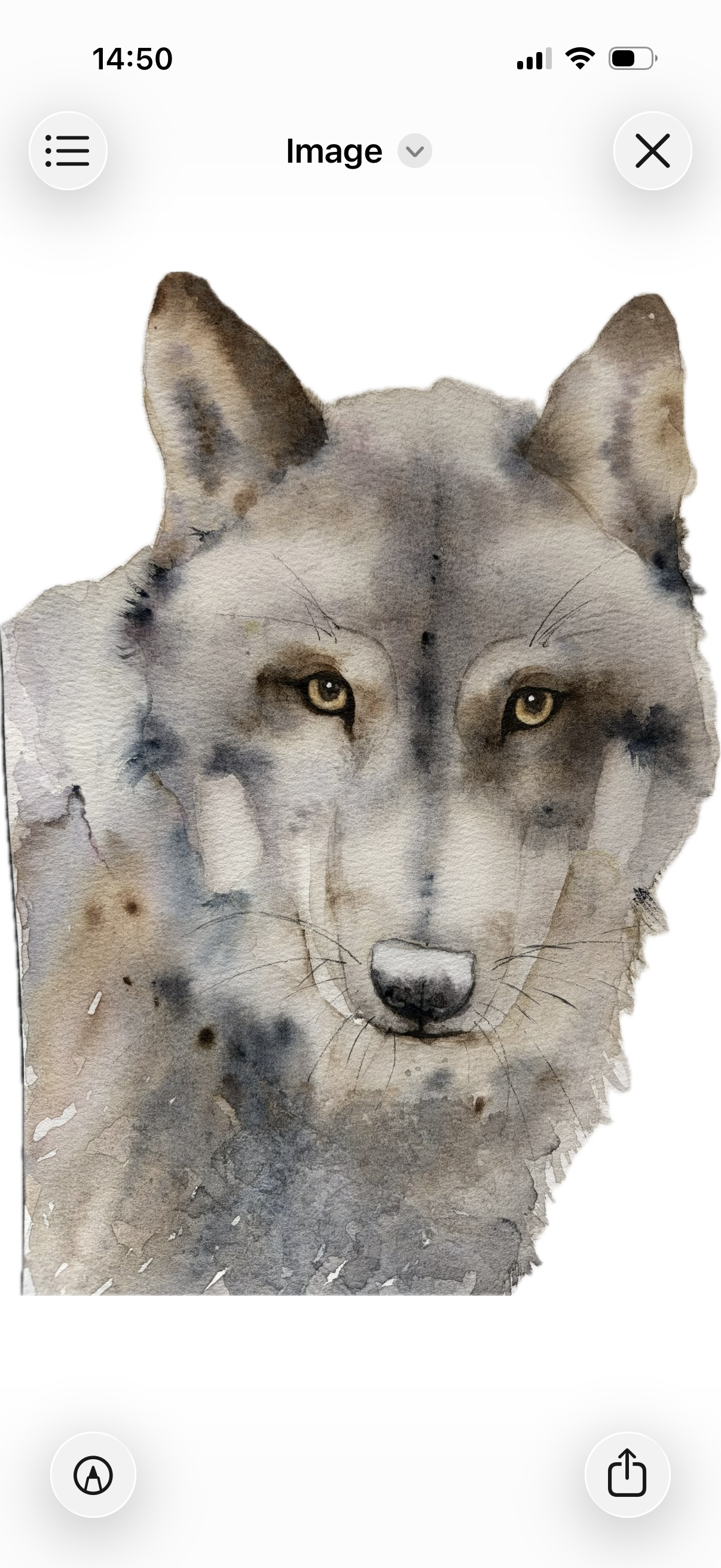 Wolf - image 1 - student project