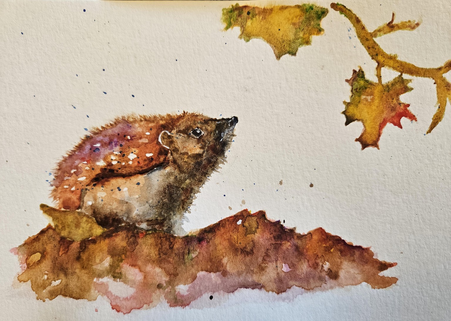 Little Hedgie 1 & 2 - image 2 - student project
