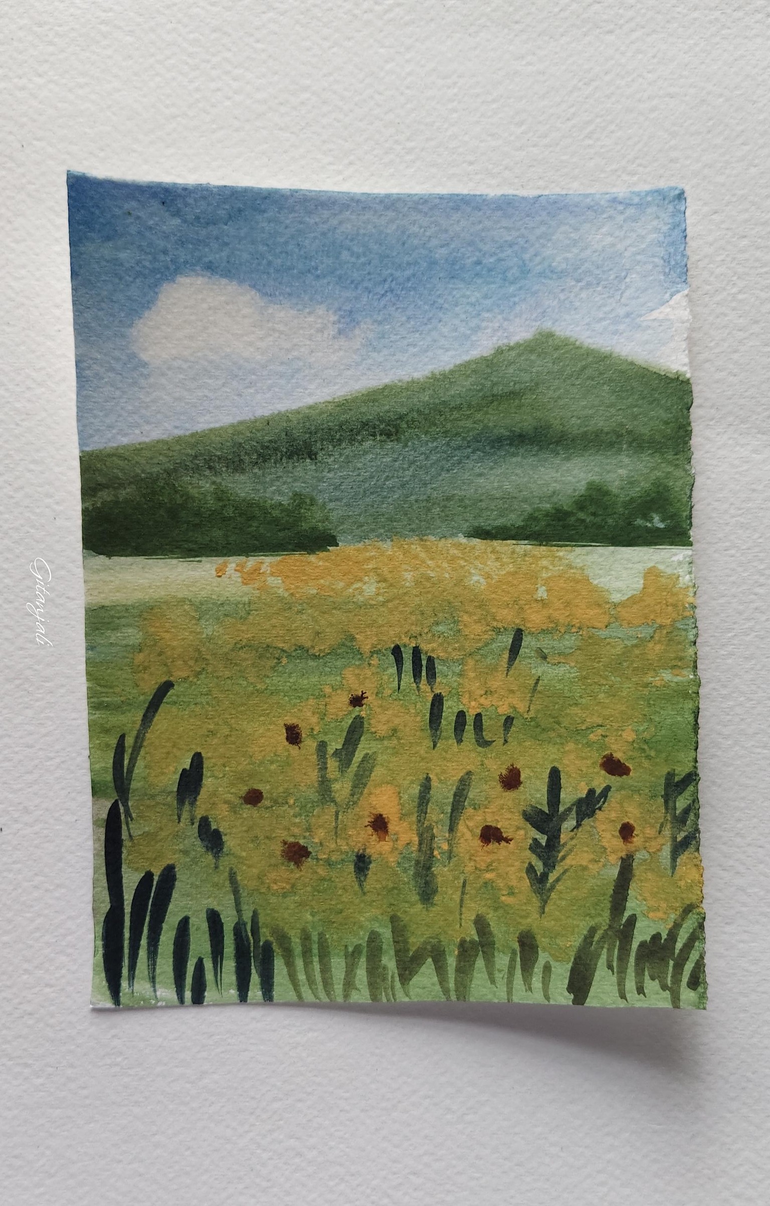 Nature - image 3 - student project