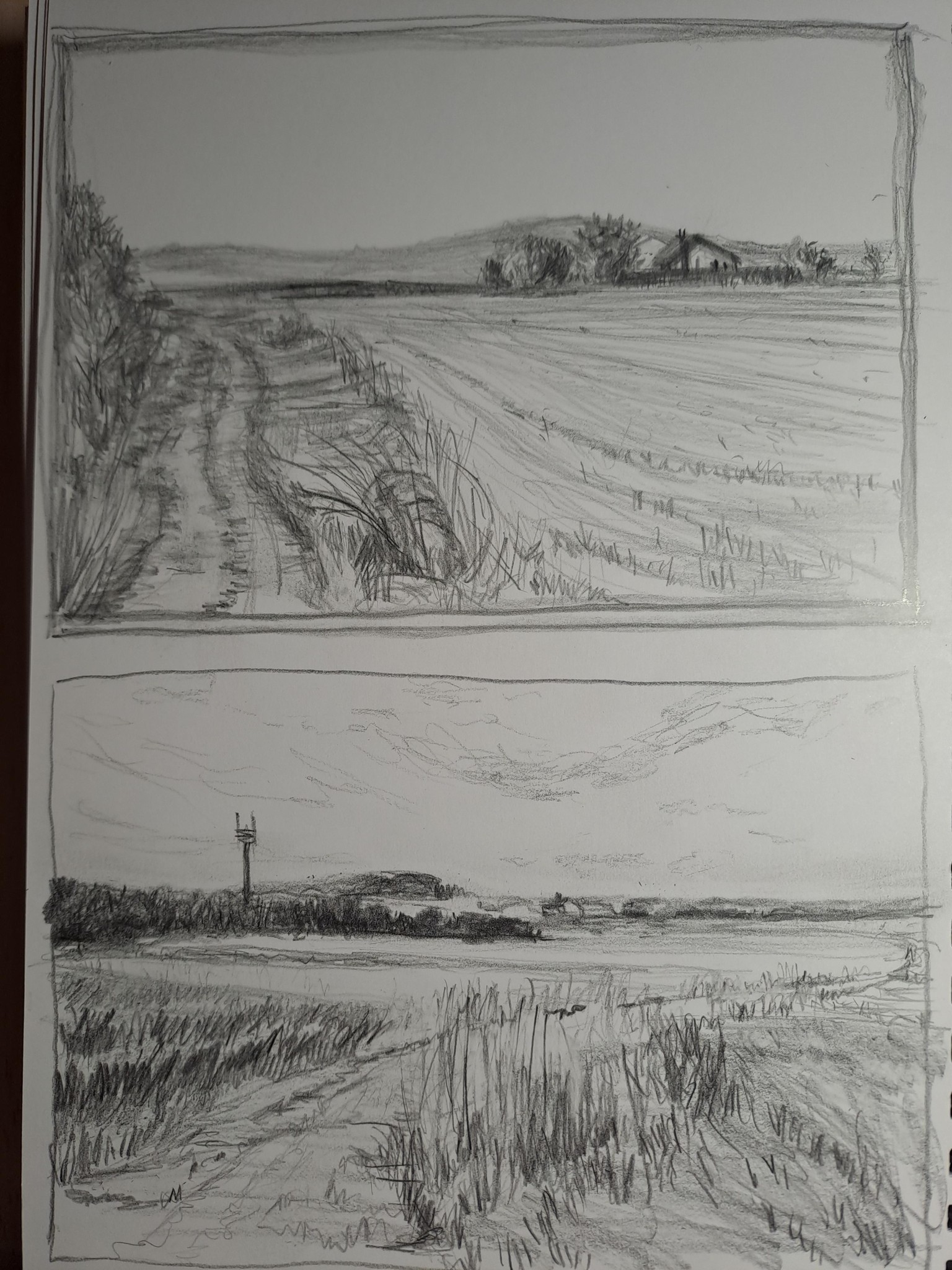 10 days of landscape sketching - image 2 - student project