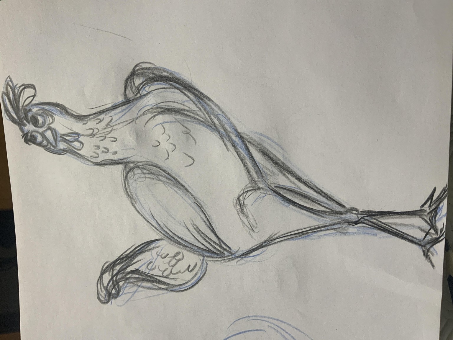 The Ultimate course for Darwin CARTOONY FARM ANIMALS - image 12 - student project