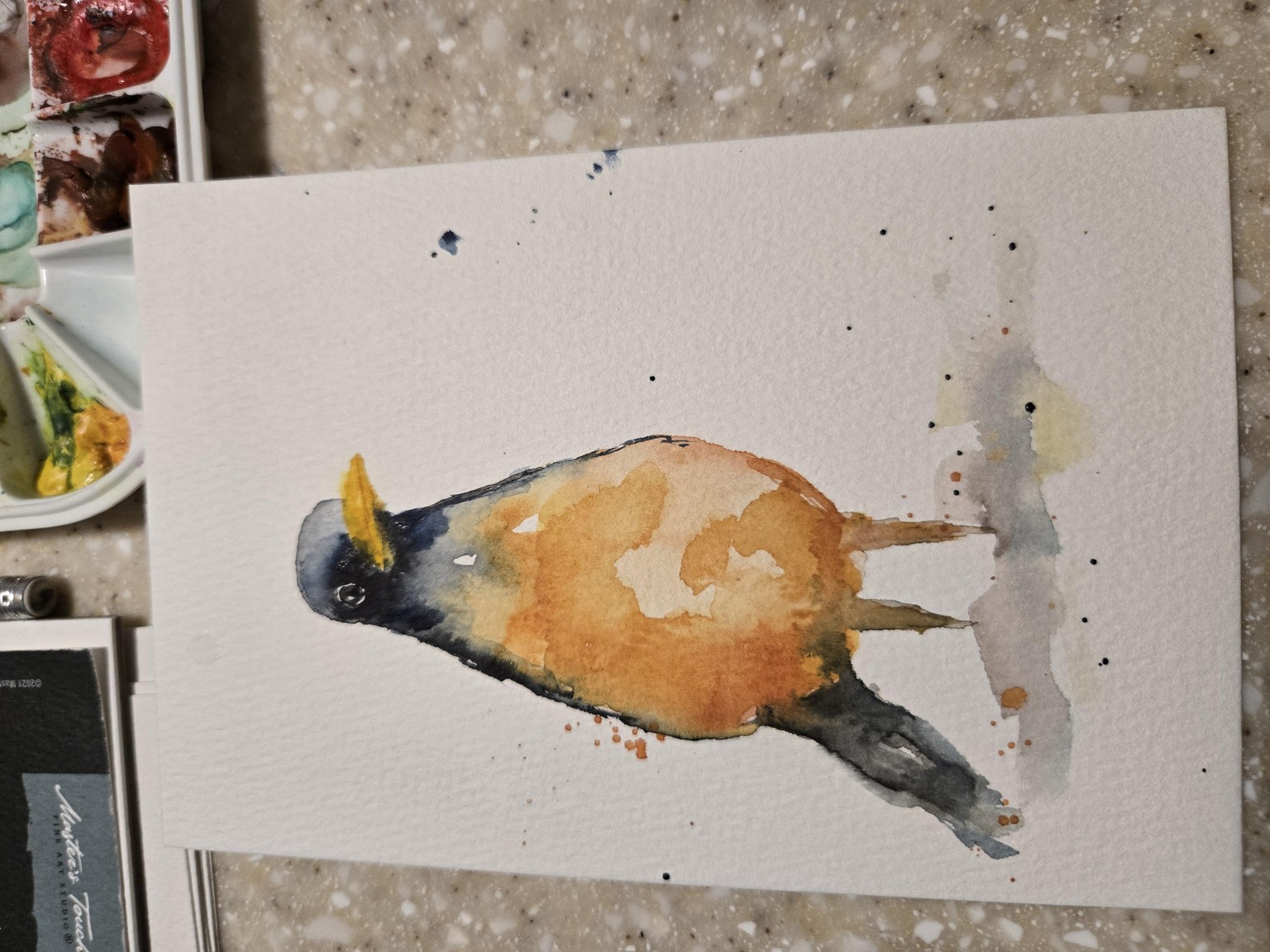 Robin first try - image 1 - student project