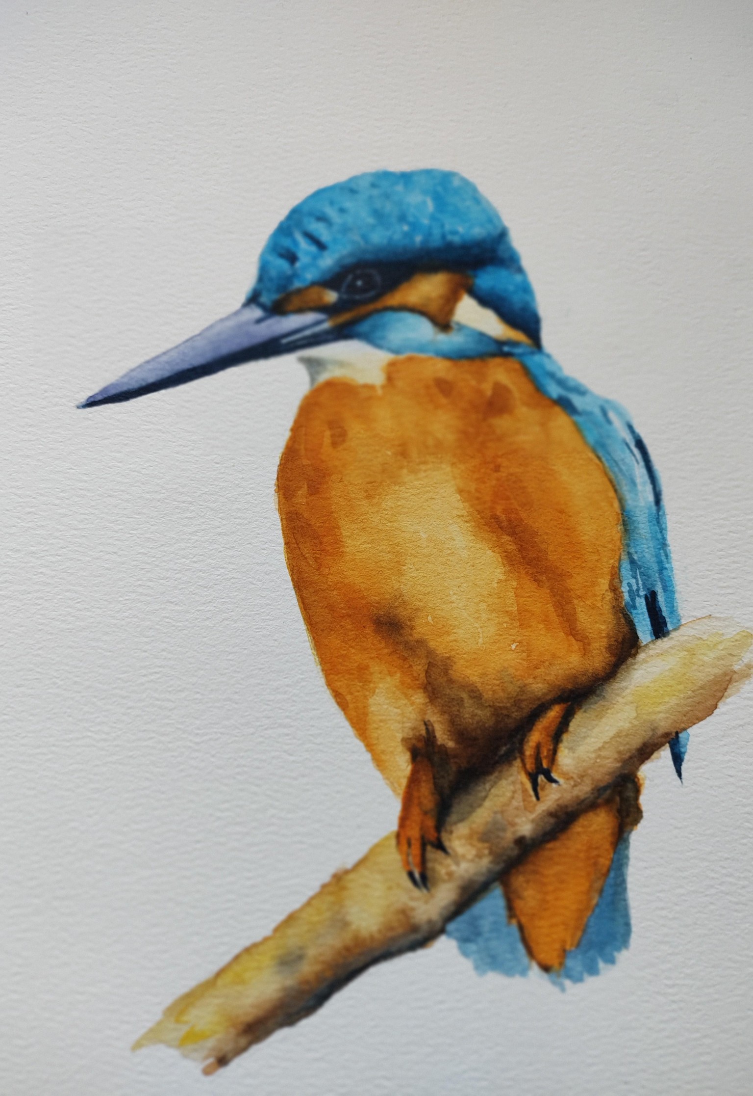 Watercolour Kingfisher - A class with Paul Cheney - image 1 - student project