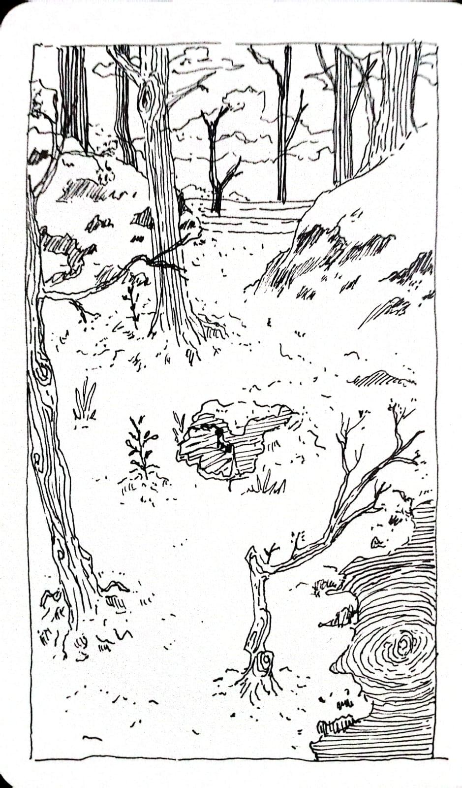 nieve en el bosque - image 1 - student project