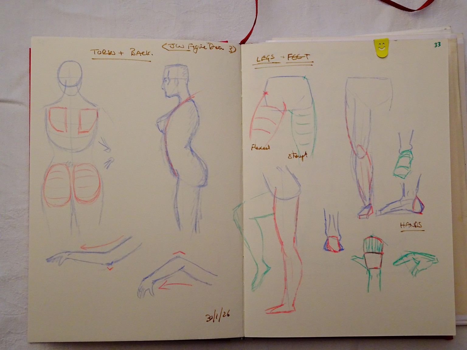A collection of body parts - image 1 - student project