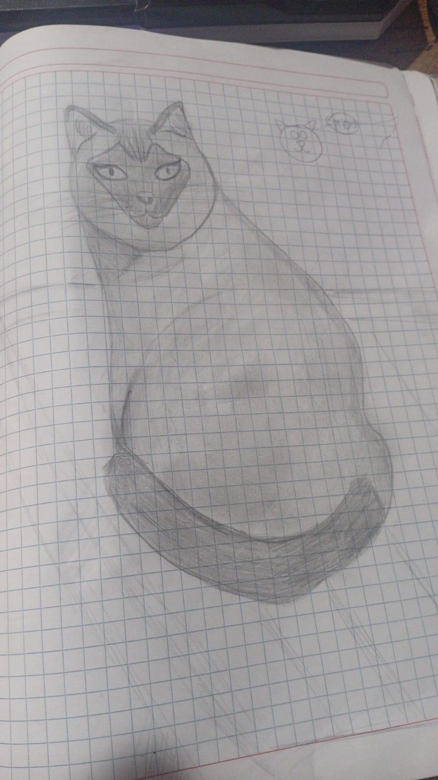 mi primera vez dibujando - image 6 - student project