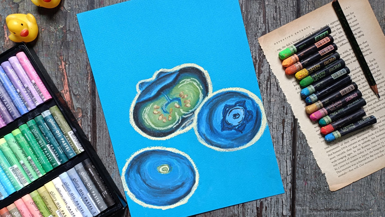 Oil pastels blueberry - image 1 - student project