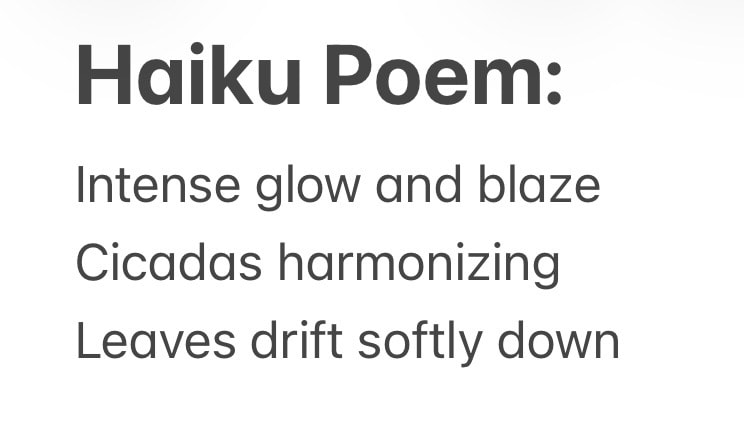Haiku Poem - image 1 - student project