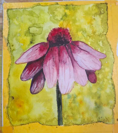 Pink poppy - image 1 - student project
