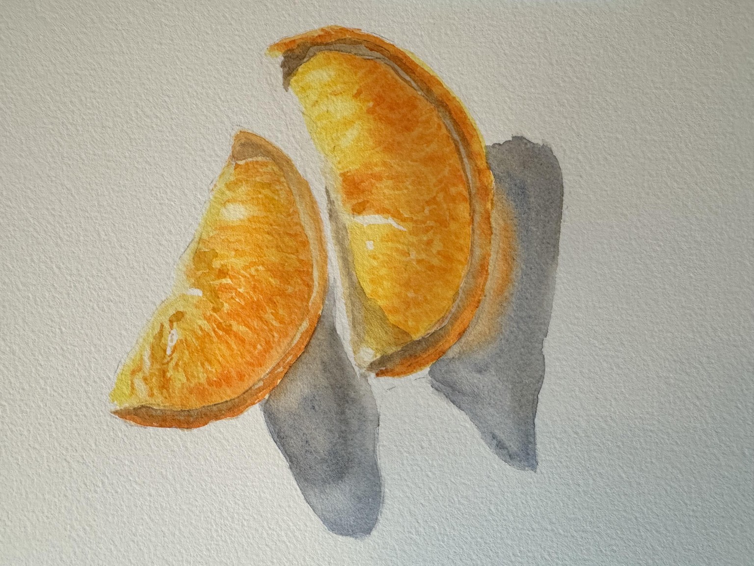Lemon and orange - image 2 - student project