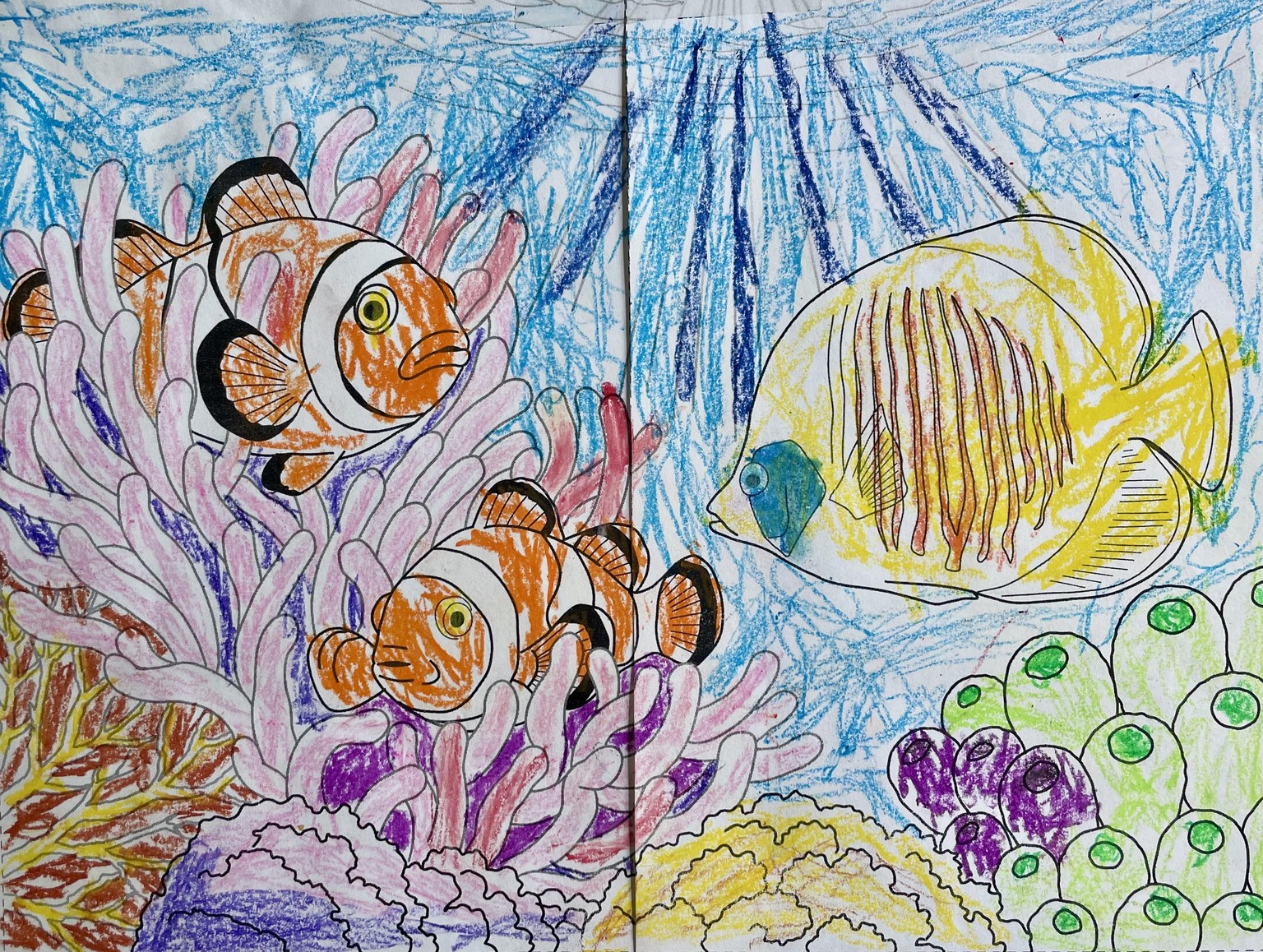 The coral was hard! - image 2 - student project
