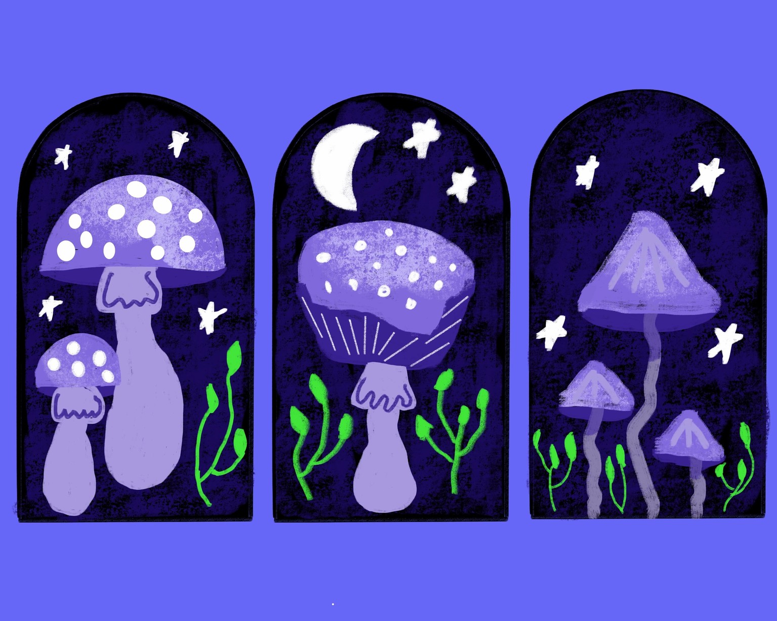 Mushrooms - image 2 - student project