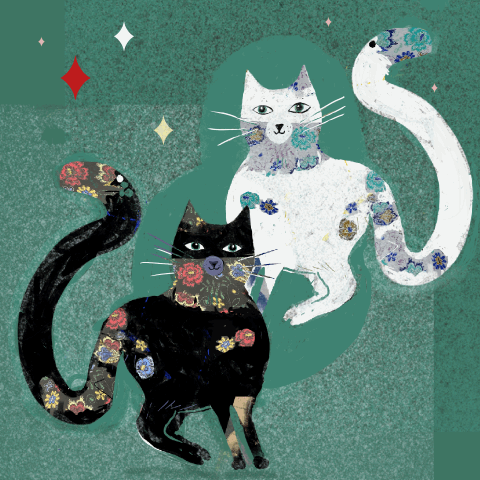 Beyond Cat - image 1 - student project