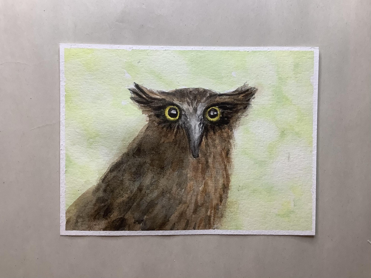 Watercolor owl - image 1 - student project