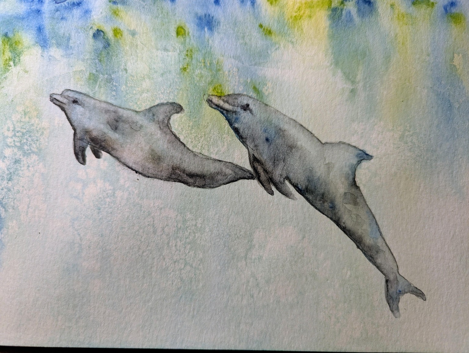 Dolphins - image 1 - student project