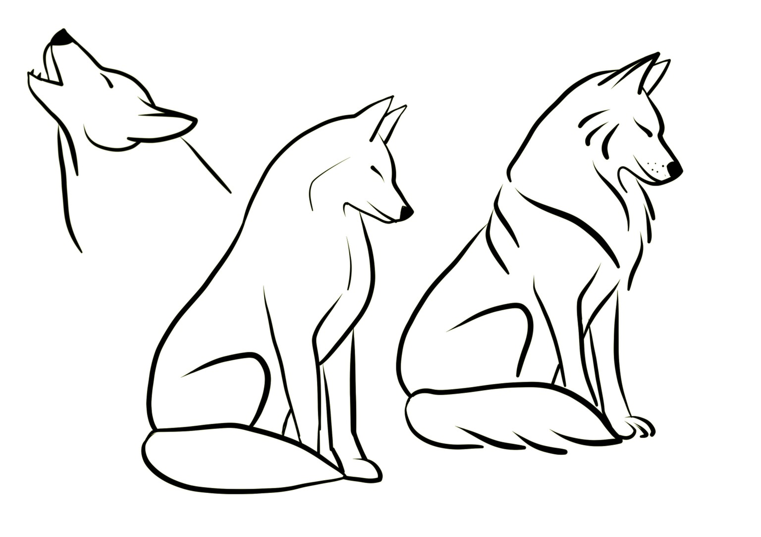 Drawing exercices for animal character design - image 2 - student project