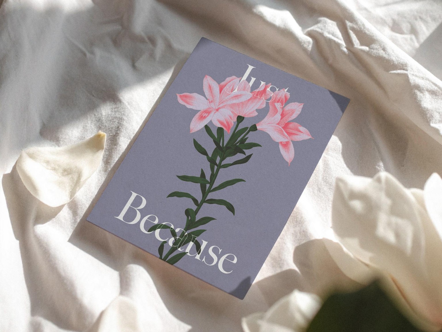 Botanical Design Exploration - image 4 - student project