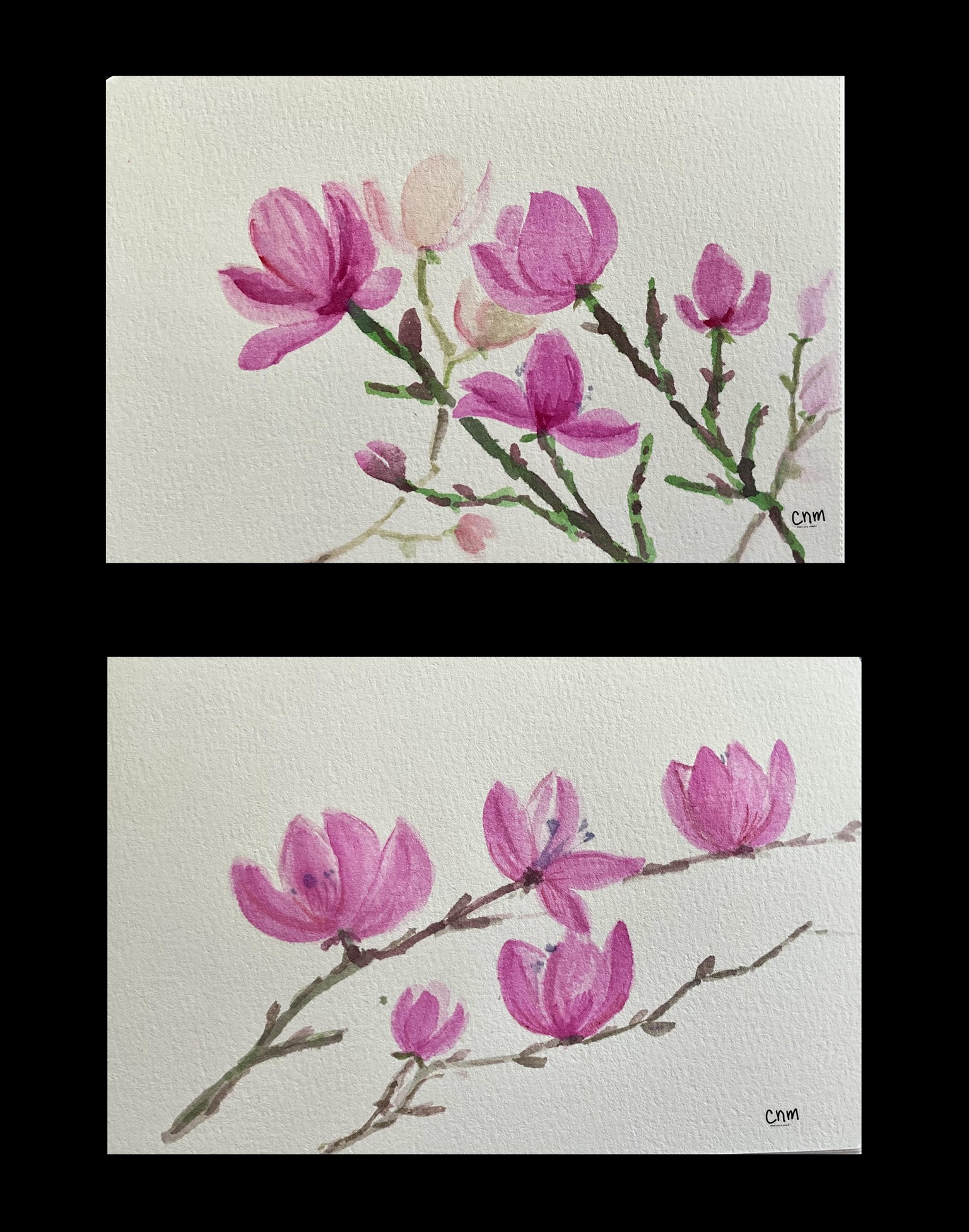 Magnolia - image 1 - student project