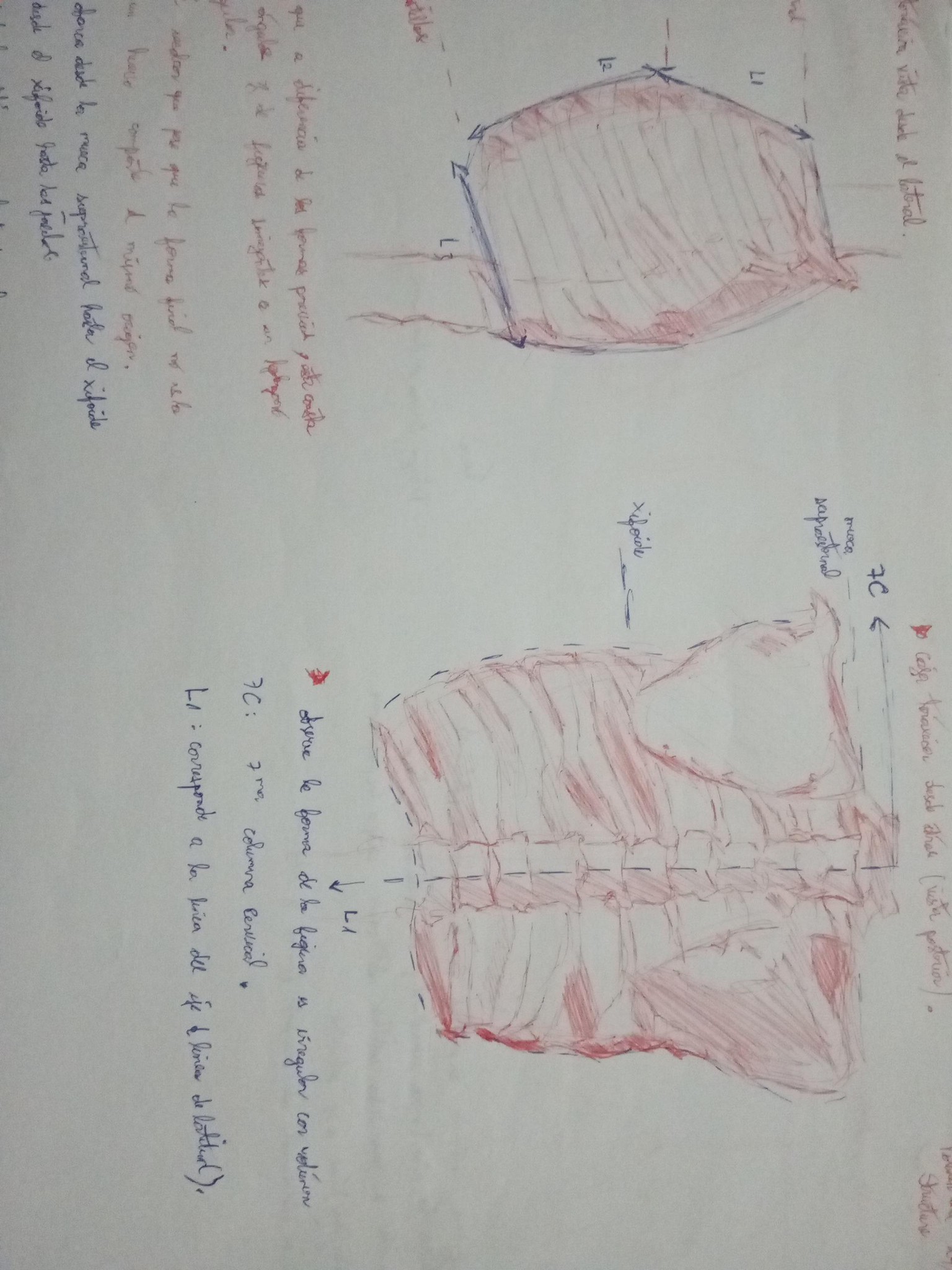 Volumen and structure - image 4 - student project