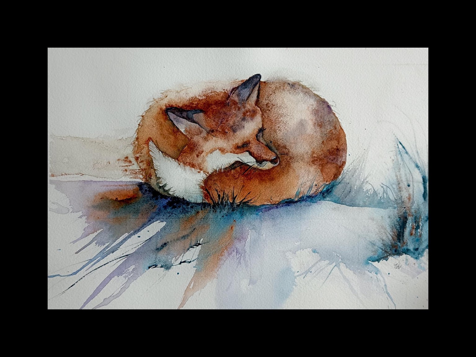 Aquarell - a half asleep fox - image 1 - student project