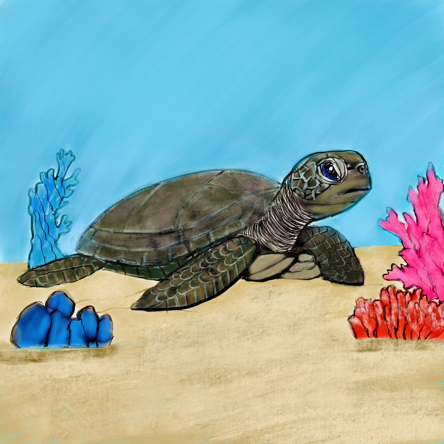 Project 1 - TURTLE - image 2 - student project