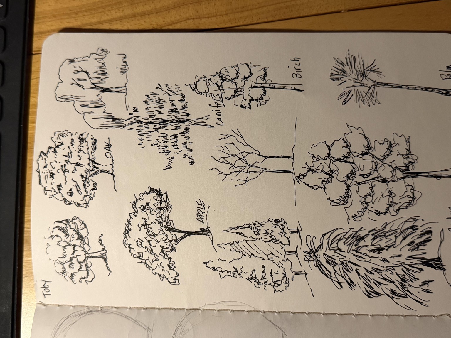 Drawing trees class - image 1 - student project