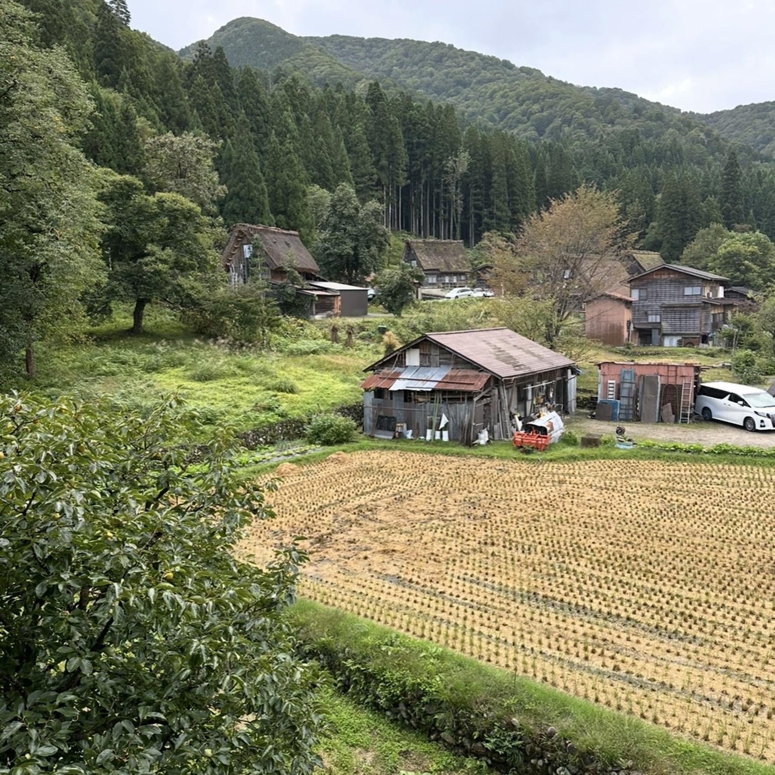 4 Japanese Landscapes - image 2 - student project