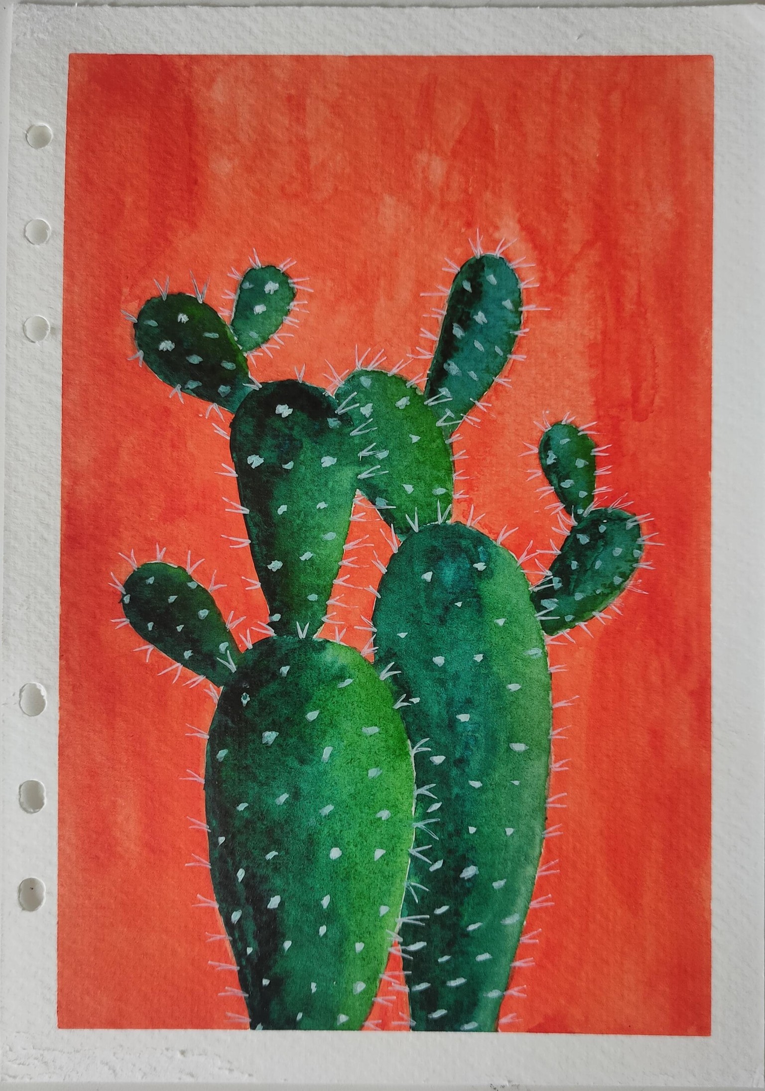 Prickly pear cactus - image 1 - student project