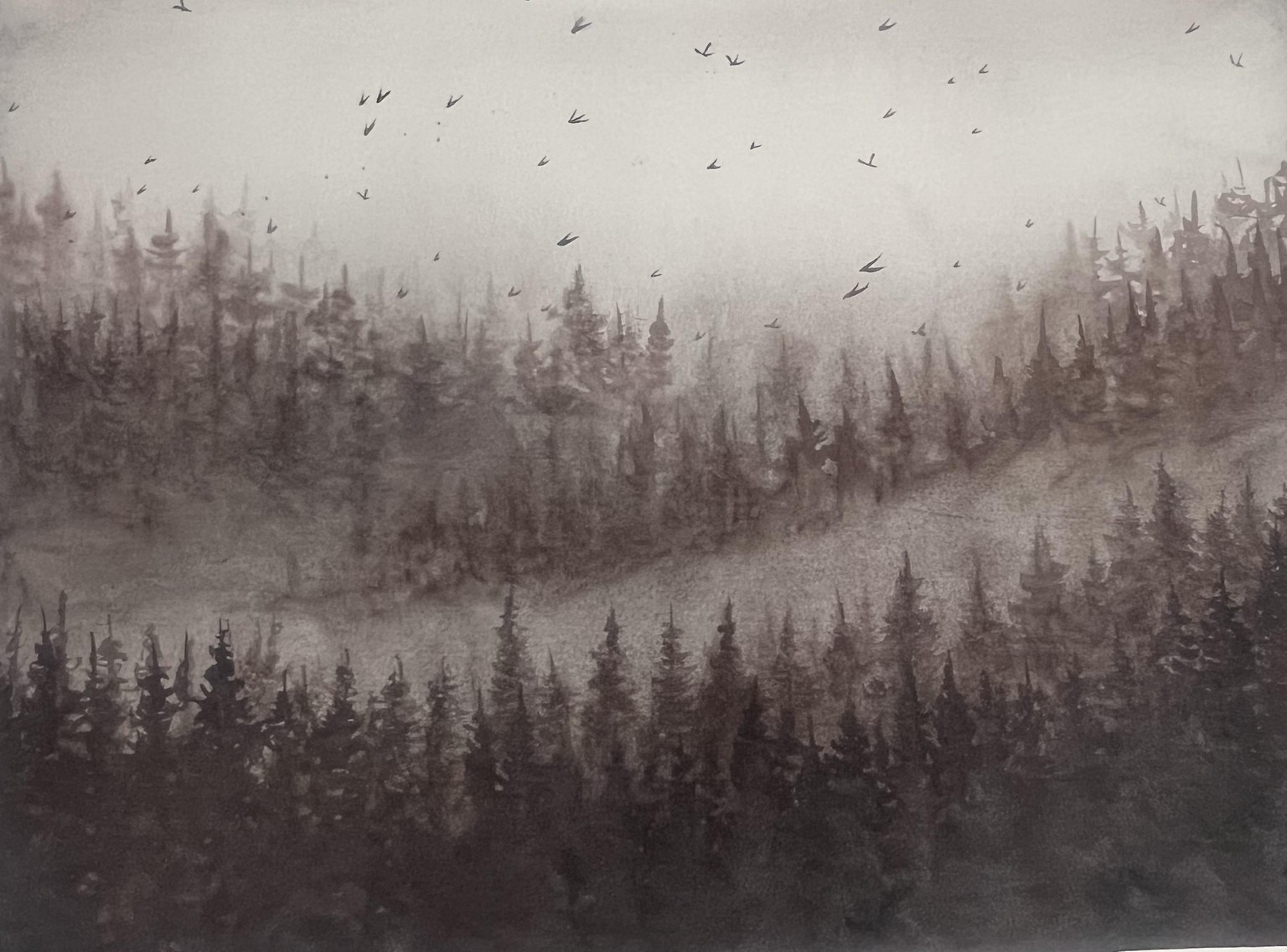 Misty landscapes - image 2 - student project