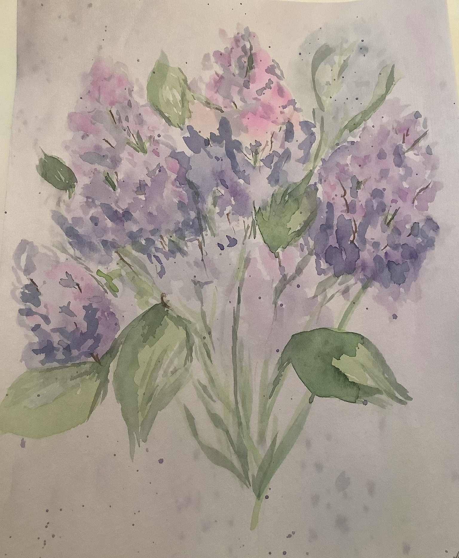 Lilacs - image 1 - student project
