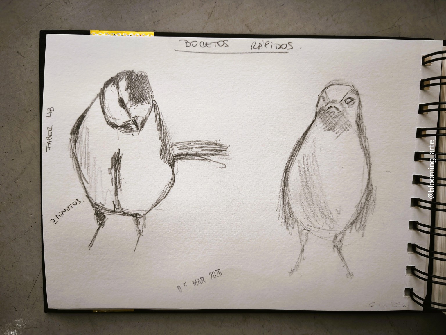 Pencil Sketching: quick and loose animals - image 2 - student project