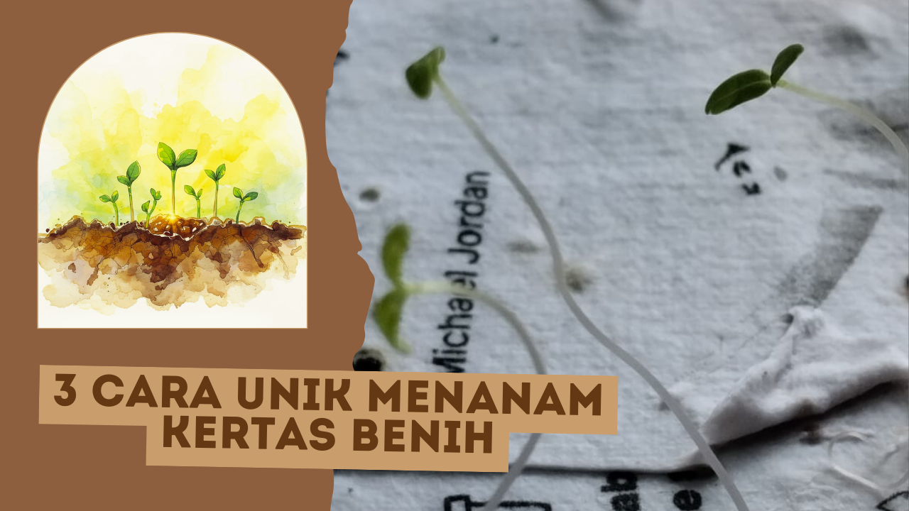 How to Plant Seed Paper - image 1 - student project