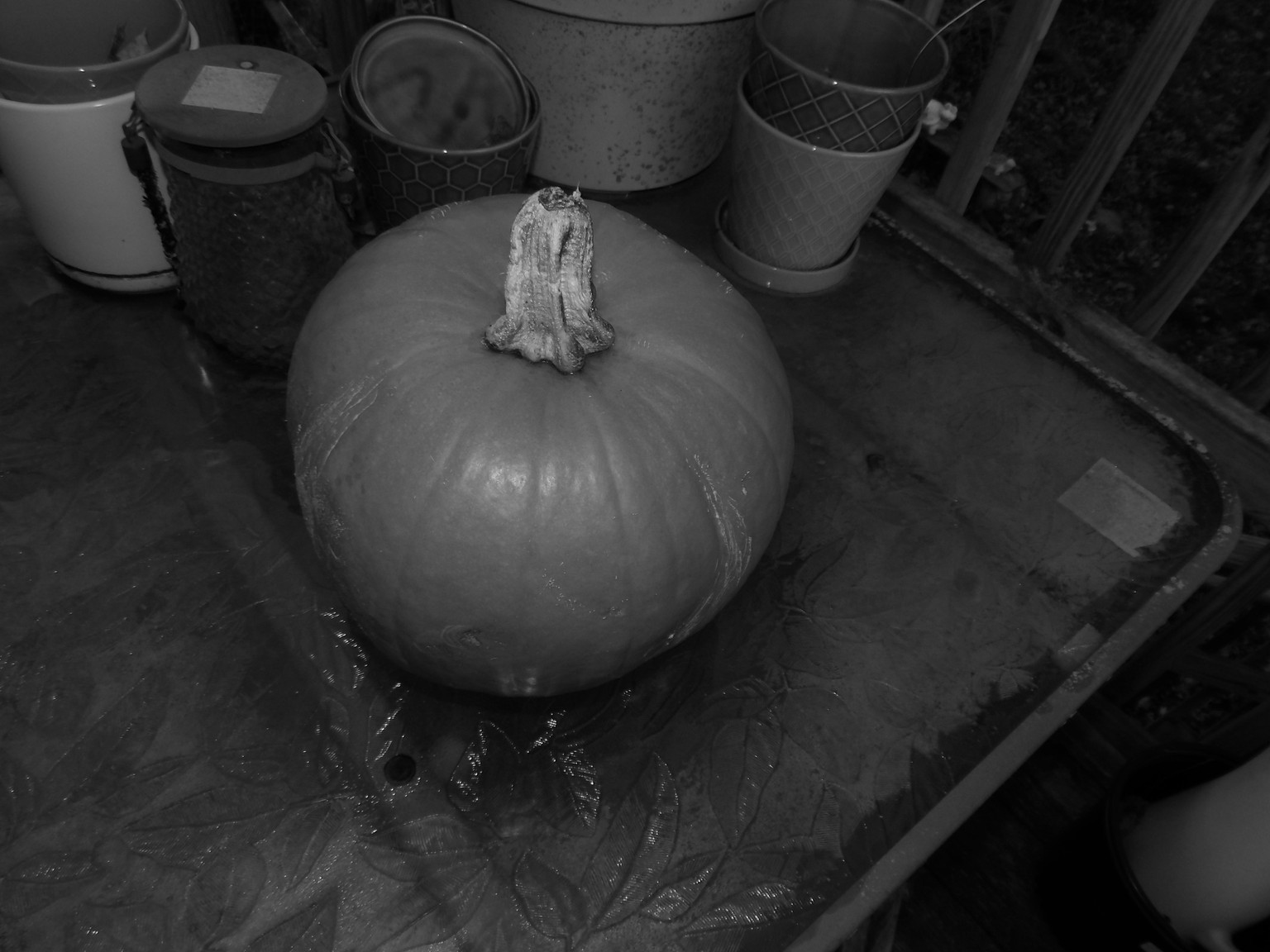 Pumpkin in B&W - image 2 - student project