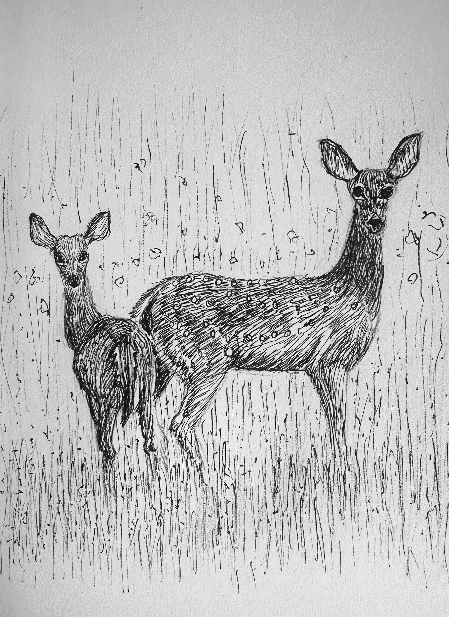 Ink Drawings - image 1 - student project