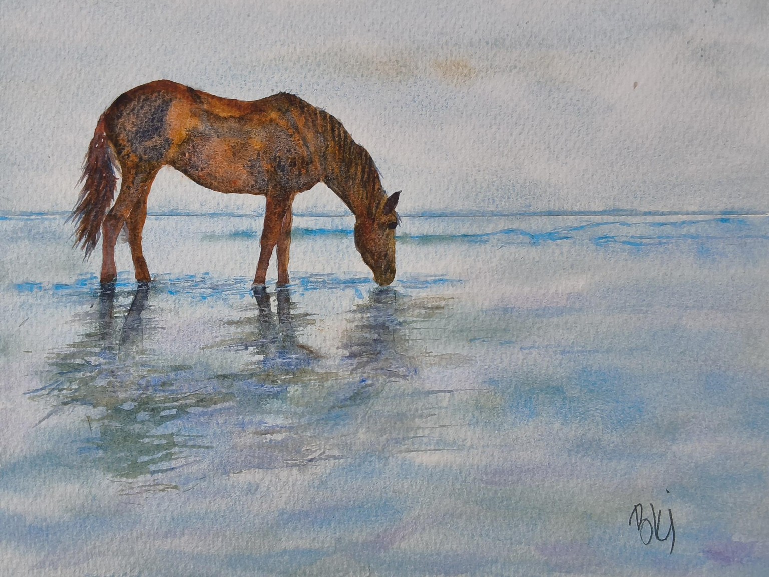 Wild horse drinking! Wonderful tutorial☺️ - image 1 - student project