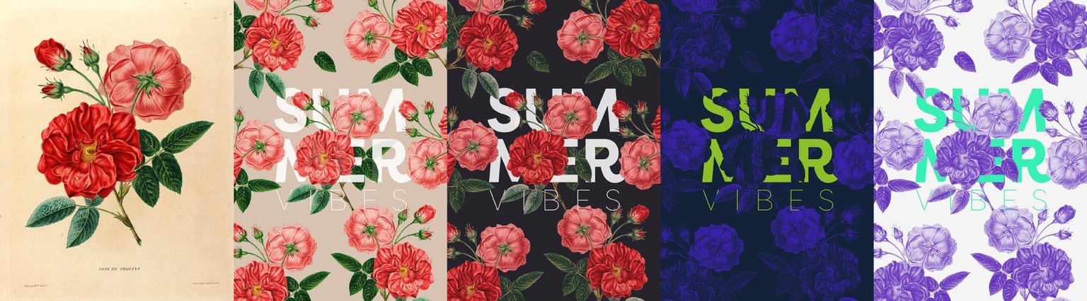 Botanical Design Exploration - image 14 - student project