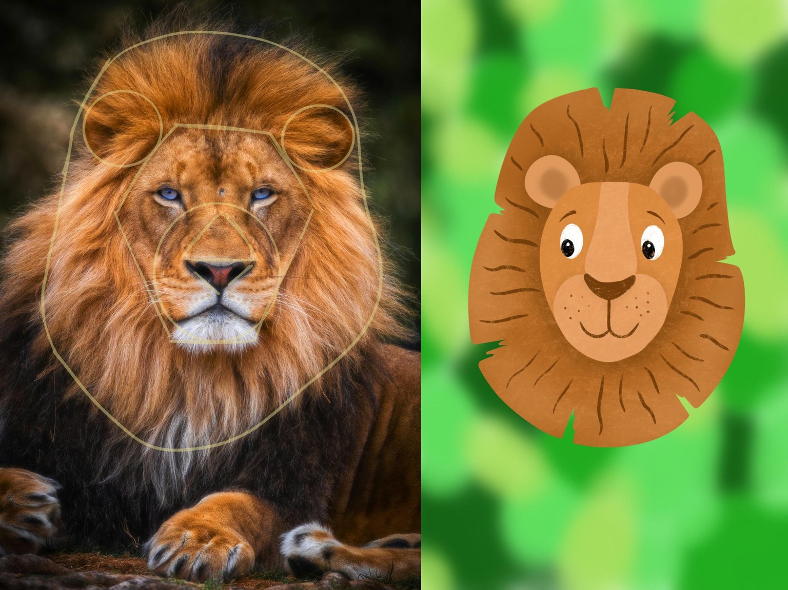 Illustrated Animals - image 3 - student project