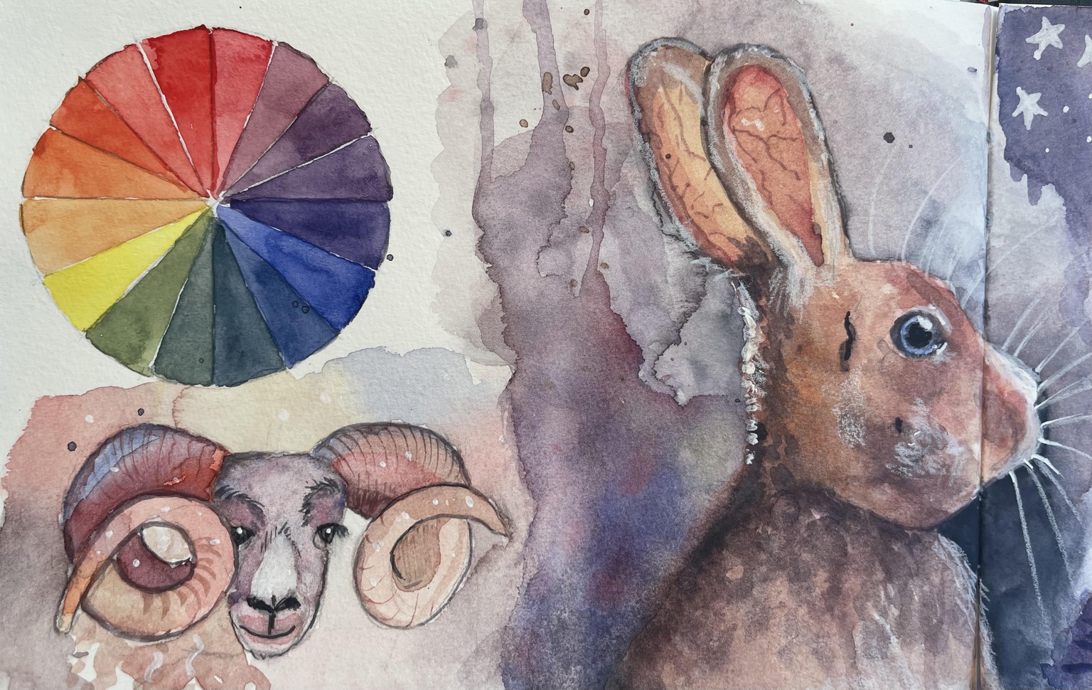A watercolor sketchbook project - image 2 - student project