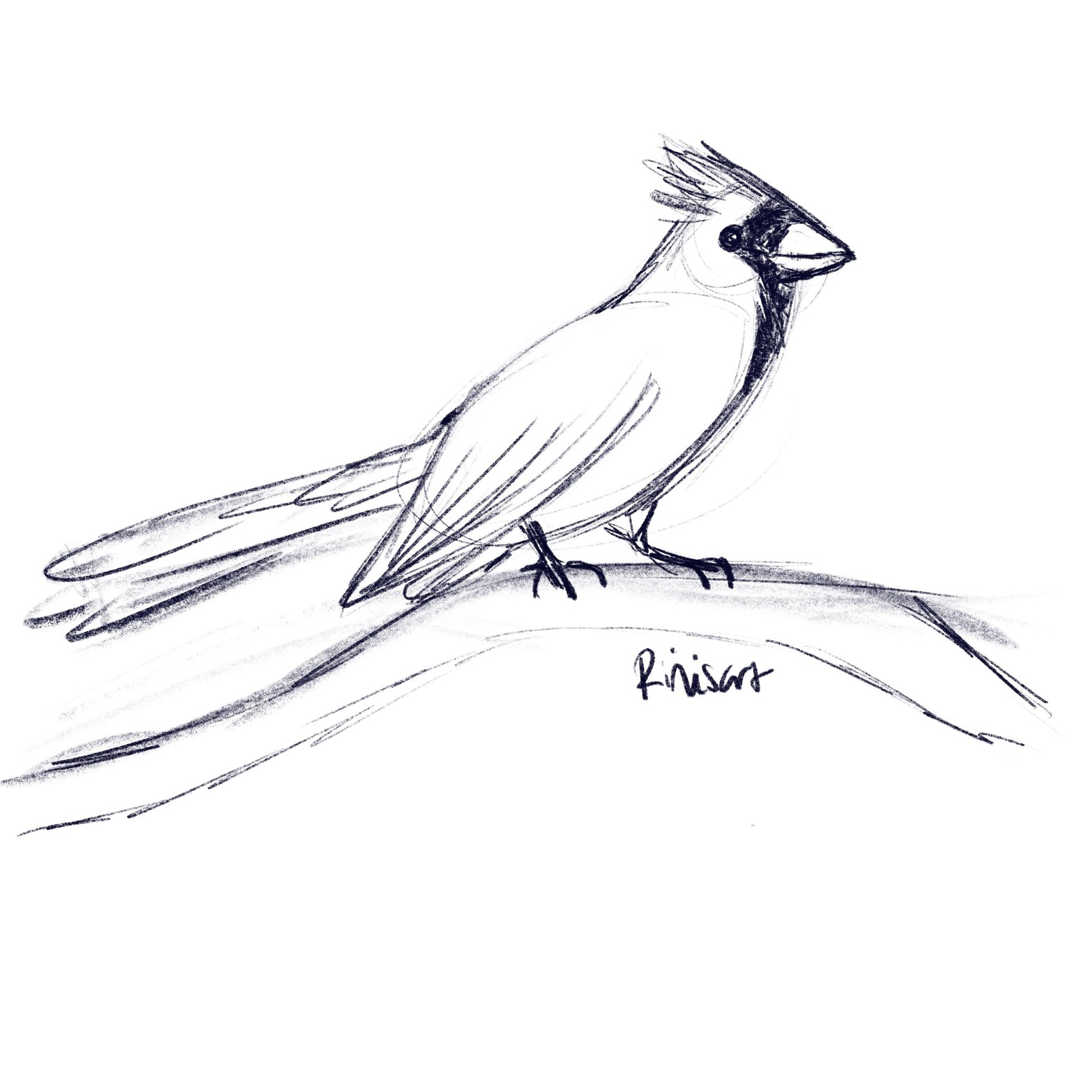 Practicing Gesture Drawing - image 4 - student project