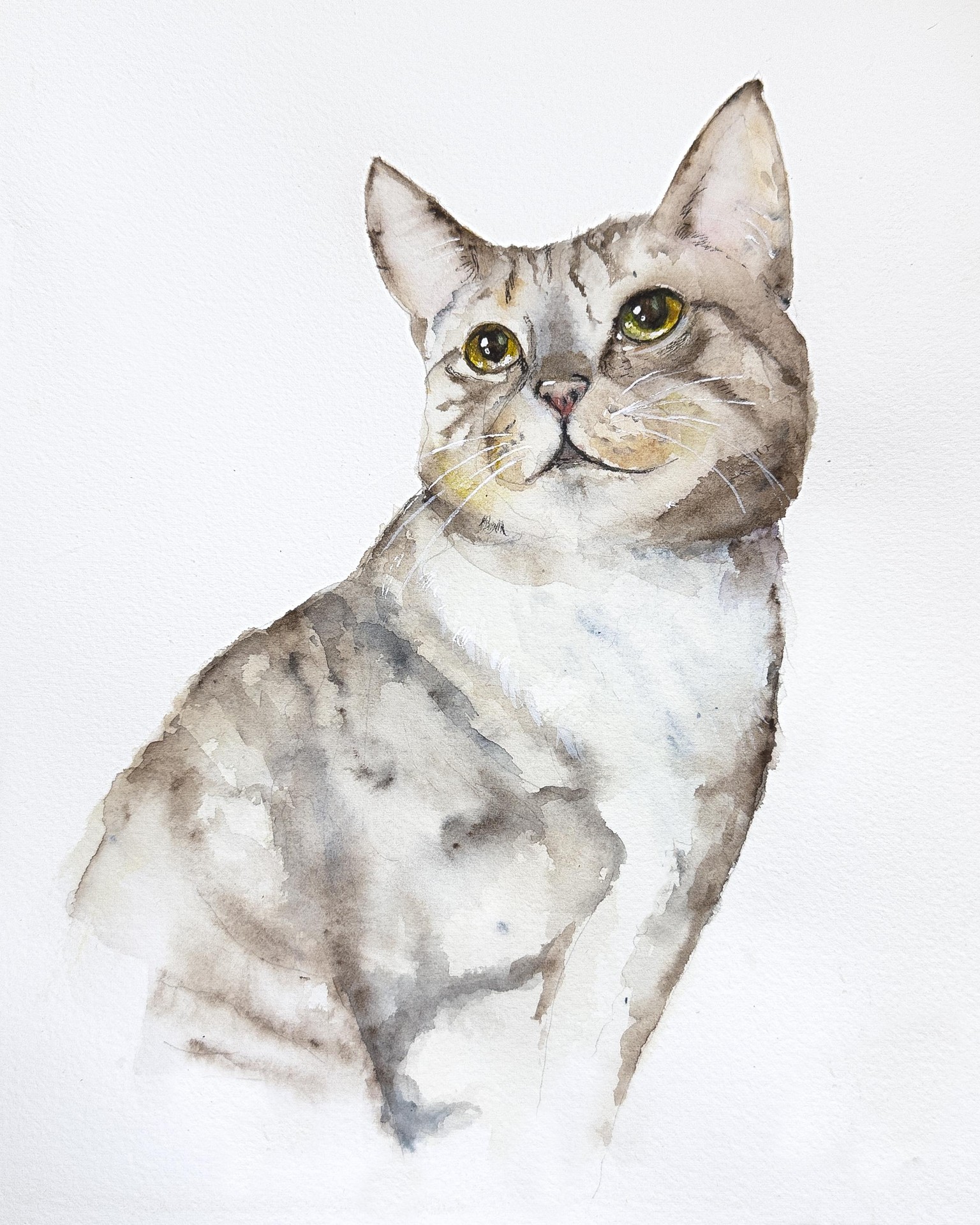 Loose Water Color Cat Practice - image 1 - student project