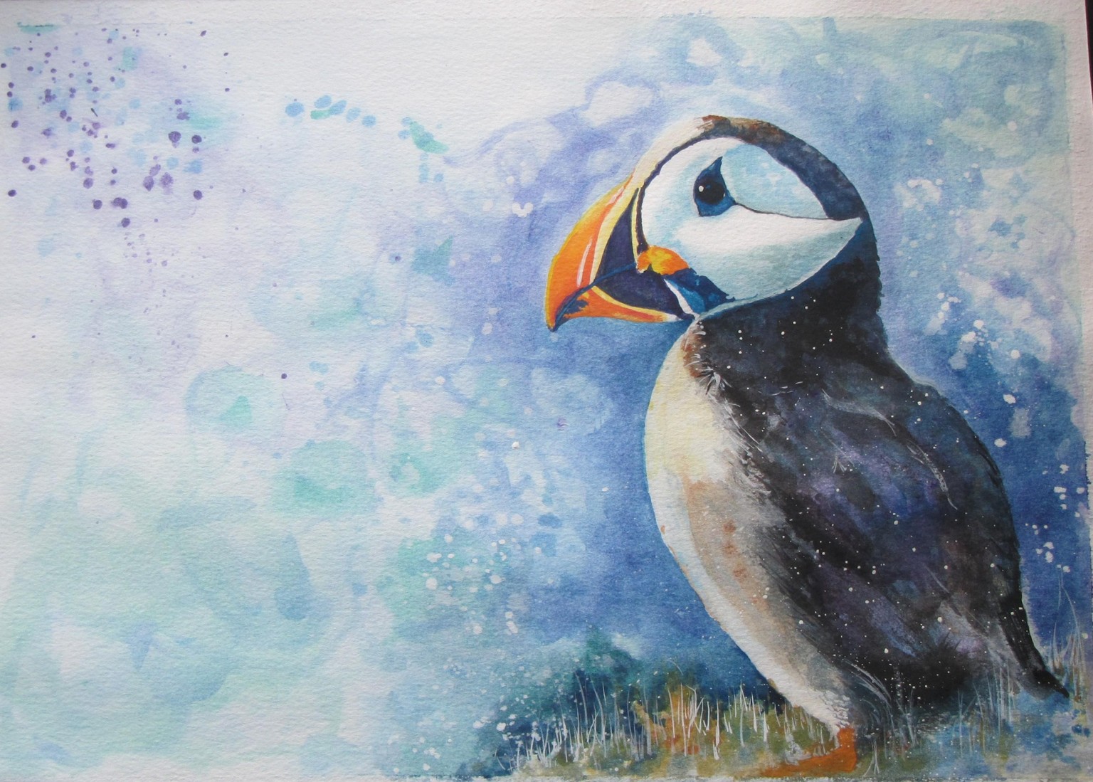 A Puffin Daydream - image 1 - student project