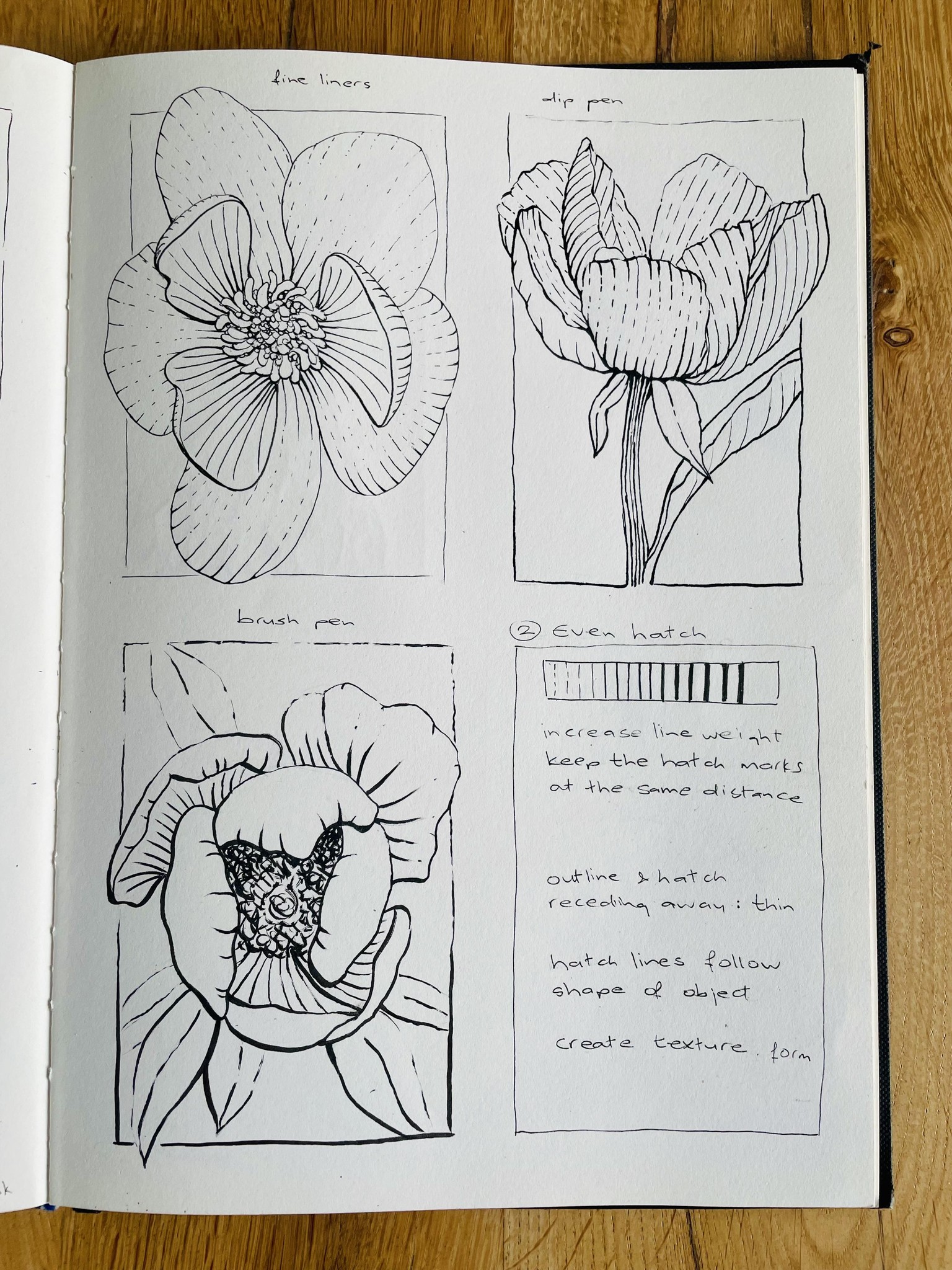 Rendering in pen and ink - image 3 - student project