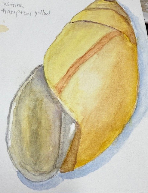 Shells - image 1 - student project