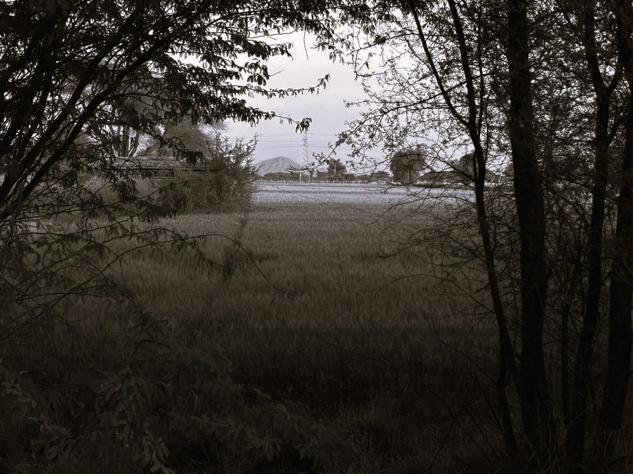 Photos i took - image 3 - student project