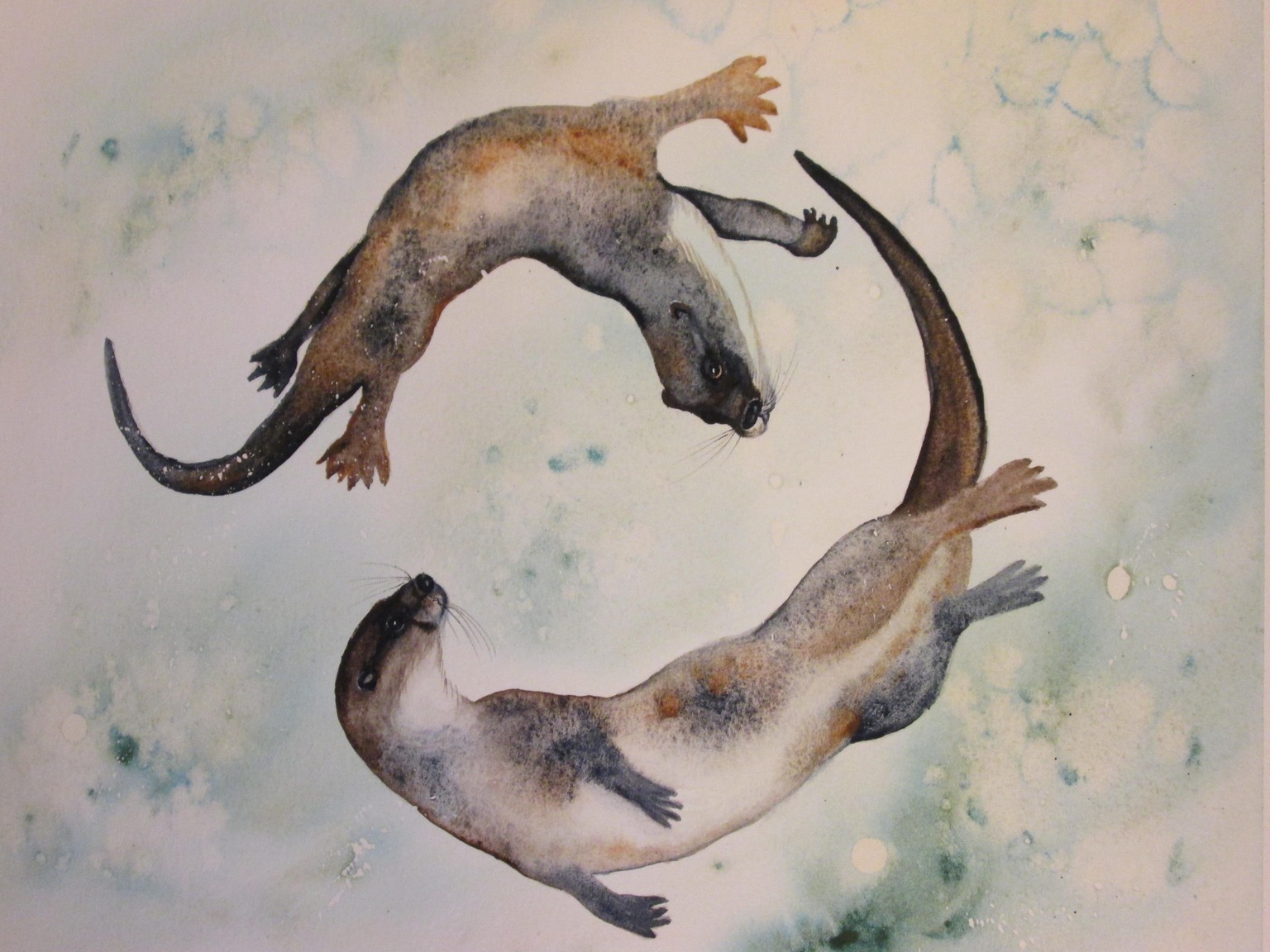 Otters with Jane Davies - image 2 - student project